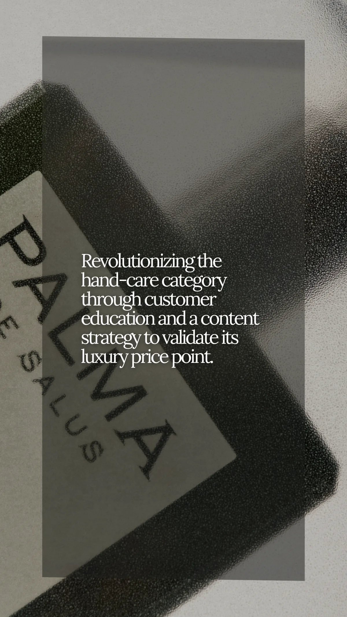 Palma de Salus portfolio graphic with campaign-summary text over brand imagery